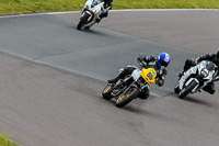 PJ-Motorsport-2019;anglesey-no-limits-trackday;anglesey-photographs;anglesey-trackday-photographs;enduro-digital-images;event-digital-images;eventdigitalimages;no-limits-trackdays;peter-wileman-photography;racing-digital-images;trac-mon;trackday-digital-images;trackday-photos;ty-croes